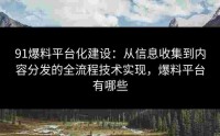 91爆料平台化建设：从信息收集到内容分发的全流程技术实现，爆料平台有哪些