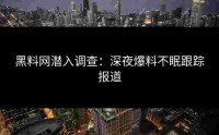 黑料网潜入调查：深夜爆料不眠跟踪报道