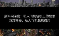 黑料网深度：私人飞机包机上的禁忌派对揭秘，私人飞机包机费用