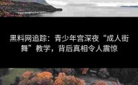 黑料网追踪：青少年宫深夜“成人街舞”教学，背后真相令人震惊