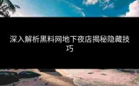 深入解析黑料网地下夜店揭秘隐藏技巧