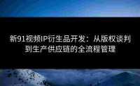 新91视频IP衍生品开发：从版权谈判到生产供应链的全流程管理