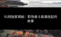 91网独家揭秘：职场奋斗高潮迭起的故事