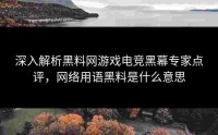 深入解析黑料网游戏电竞黑幕专家点评，网络用语黑料是什么意思