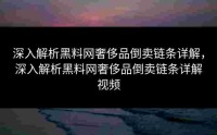 深入解析黑料网奢侈品倒卖链条详解，深入解析黑料网奢侈品倒卖链条详解视频