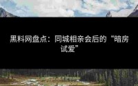 黑料网盘点：同城相亲会后的“暗房试爱”