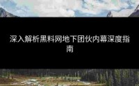 深入解析黑料网地下团伙内幕深度指南
