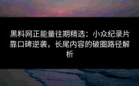 黑料网正能量往期精选：小众纪录片靠口碑逆袭，长尾内容的破圈路径解析