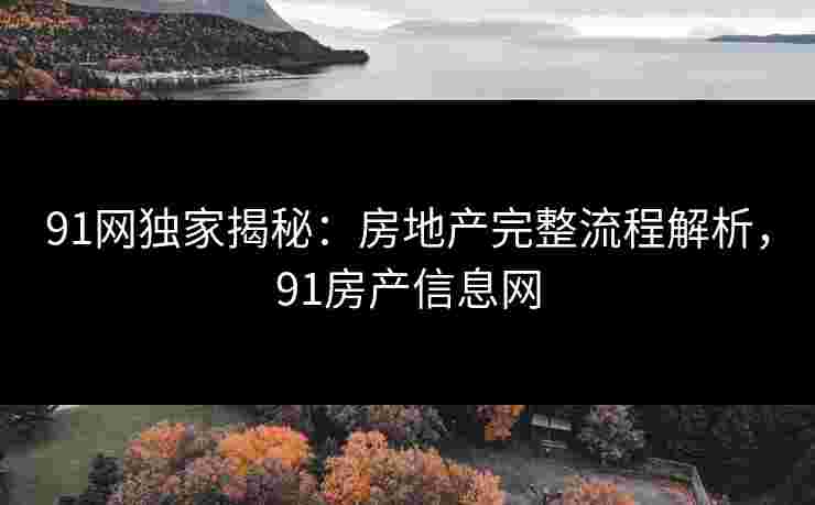 91网独家揭秘：房地产完整流程解析，91房产信息网