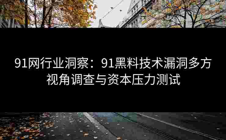 91网行业洞察：91黑料技术漏洞多方视角调查与资本压力测试