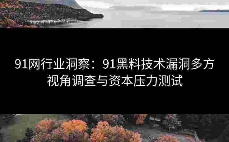91网行业洞察：91黑料技术漏洞多方视角调查与资本压力测试