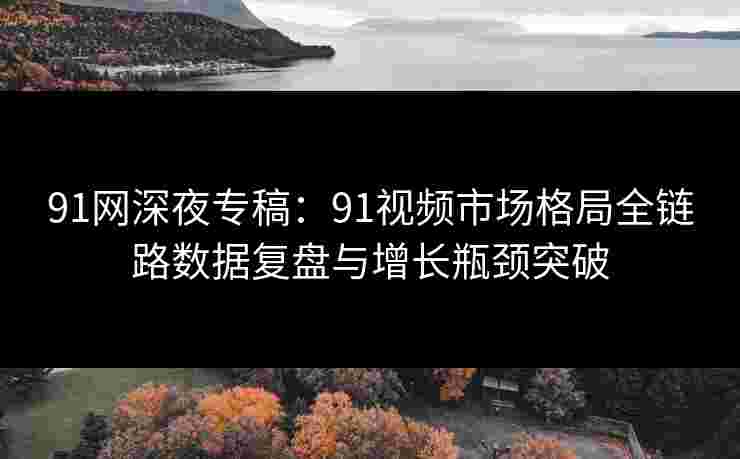 91网深夜专稿：91视频市场格局全链路数据复盘与增长瓶颈突破