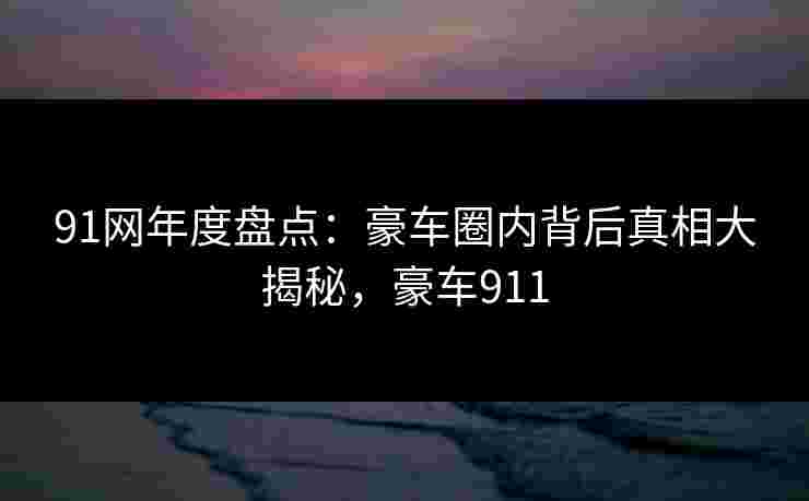 91网年度盘点：豪车圈内背后真相大揭秘，豪车911