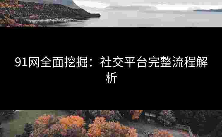 91网全面挖掘：社交平台完整流程解析