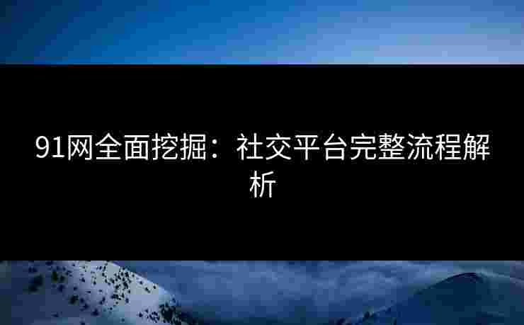 91网全面挖掘：社交平台完整流程解析