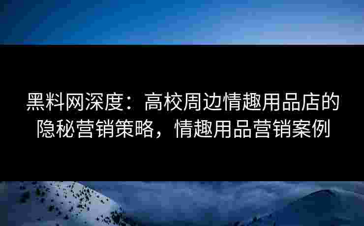 黑料网深度：高校周边情趣用品店的隐秘营销策略，情趣用品营销案例